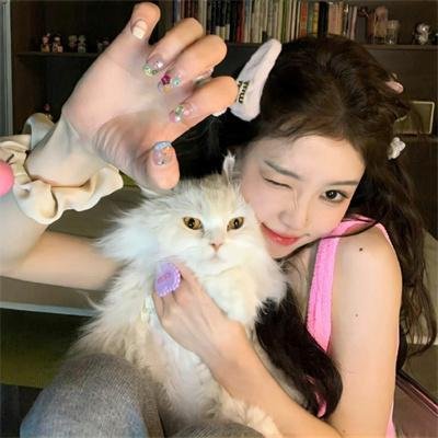 火线追凶之黑枪疑云