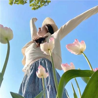 白色玫瑰短剧版